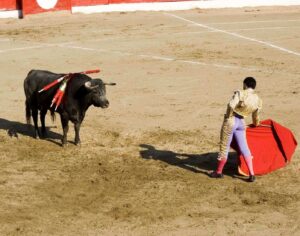 Art of Bullfighting